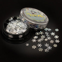 Silver Snowflake Slices